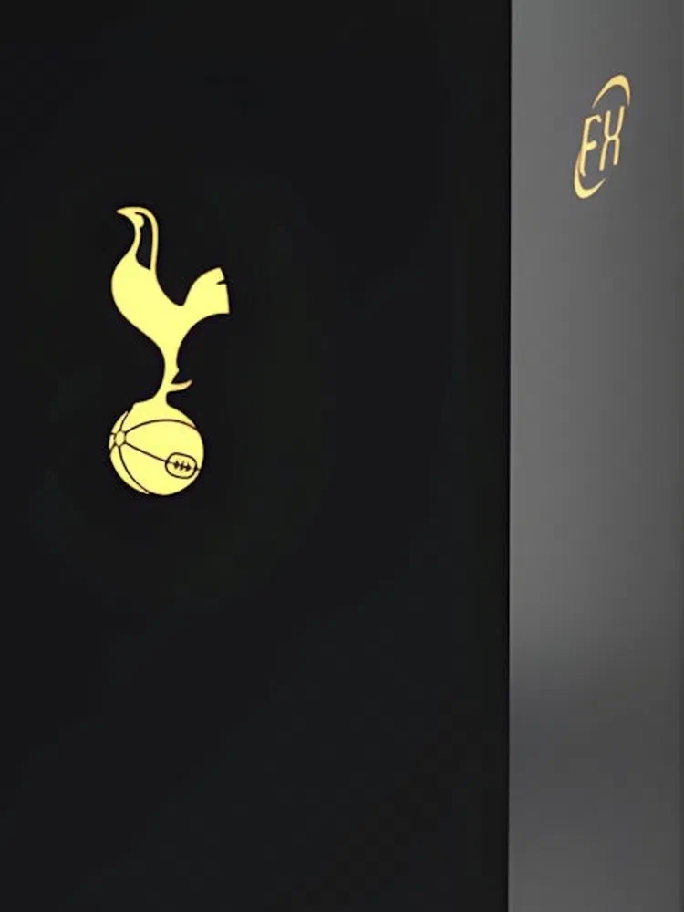 Futera FX Tottenham 2024-2025